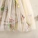 Infant Newborn Babygirl Outfit Mesh Tulle Flower Butterfly Embroidery Sleeveless Adorable Princess Dress (Khaki, 6-9 Months)