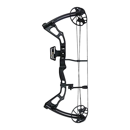 41mkAwLraNL._SS520_ Best iglow compound bow