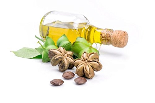 Sacha Inchi Öl, Bio 93% omega 3-6-9: 250 mL