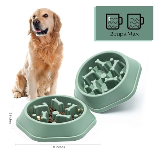 Image of Durable Slow Feeder Bowl for Dogs| Anti-Choke Non-Slip Pet Feeding Base and Easy to Clean| Dish Promotes Healthy Eating| Reduces Bloating and Digestive Issues| Interactive Maze Design (Green)