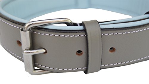 Soft Touch Collars Padded Leather Dog Collar, Gray And Blue, Size Large, Real Genuine Full Grain Leather #TOP2