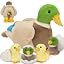 Duck Families