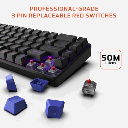 Image of EvoFox Katana S Mini Wired Mechanical Keyboard | Hot-Swappable Silent Red Switches | 68-Key Compact Layout | Vivid Rainbow Backlighting | 1000Hz Polling Rate, All Keys Anti-Ghosting (Black)