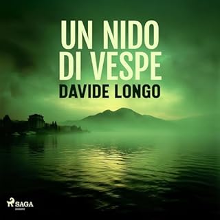 Un nido di vespe copertina
