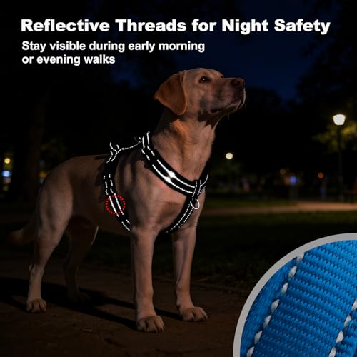 APakBak No Pull Dog Harness with Handle, Soft Mesh Padded Adjustable for Small Medium Large Dogs | Reflective Easy Walk Harness with Front Clip for Training, Running & Outdoor (Royal Blue, XL) by APAKBAK - Image 7