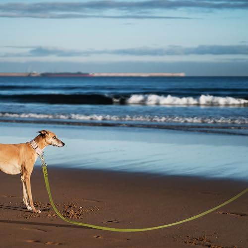 Wisedog Schleppleine für Hunde,Robuste, Wasserabweisende Lange Hundeleine Übungsleine für Hunde Grün 3m