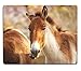 Produktbild Mauspad Naturkautschuk Mousepad Bild-ID: 22658537 Sort Equus Hemionus Holdereri Wild Horse