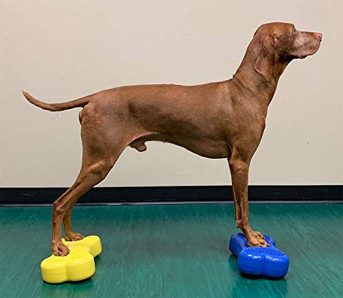 FitPAWS Dog Copenhagen Mini K9 Bone Instabilitätsscheibe für Propriozeption