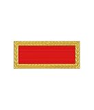 US Army Meritorious Unit Citation