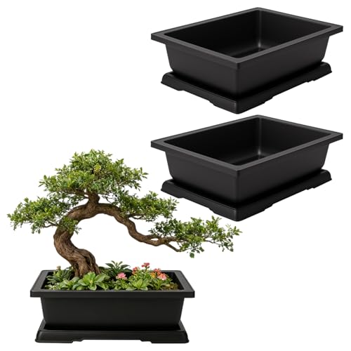 MAHIONG 3 Stück Bonsai Topf Pflanzschale, Kunststoff Bonsai Schale mit Untersetzer Rechteckig für Innen- und Außenbereich, 36 x 26 x 10,6 cm