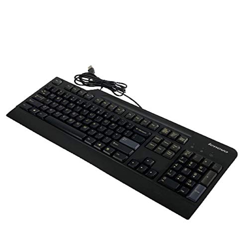 IBM Lenovo Preferred Pro USB Wired Computer Keyboard 54Y9400 Model KU-0225