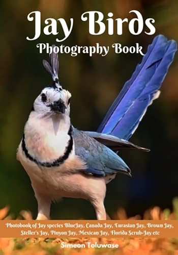 Jay Birds Photography Book: Photobook of Jay species BlueJay Canada Jay Eurasian Jay Brown Jay Stellerâ€™s Jay Pinyon Jay Mexican Jay Florida Scrub-Jay ... Birdwatchers Bird lovers kids and Children