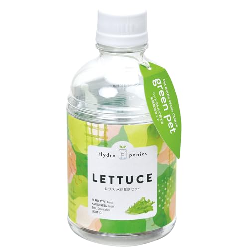 聖新陶芸 通年 家庭菜園 簡単 栽培キット レタス 野菜 栽培セット (自由研究/食育) 鉢の径約7cm グリーンペット 母の日 プレゼント 誕生日 GD-100204