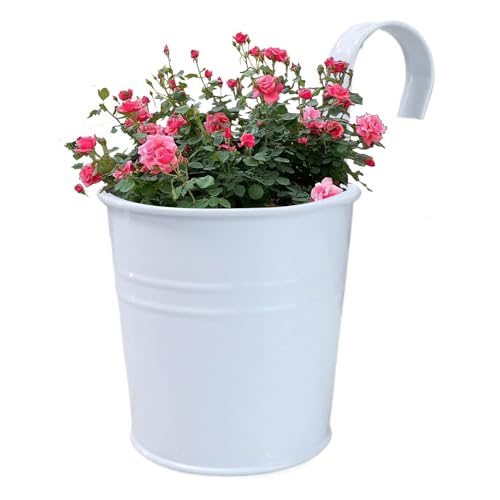 Plantador de cubo de hierro de metal, plantador de balcón | Macetas de jardín reutilizables con ganchos desmontables,Suministros de jardín robustos, decoración del hogar para barandilla, valla, balque