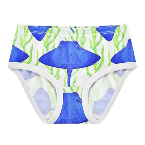 Toddler Girls Underwear 2t Cotton Girl Panties Cute Designer Underpants Briefs Blue Stingrays Fish Green Seaweed - Main Image