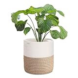 Flexzion Cesta para plantas del estilo bohemio rattan, Soporte interior...