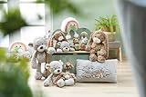 NICI Kuscheltier Bär Finni 30cm - grau - Weiches Plüschtier – niedliches Stofftier zum Kuscheln & Spielen – tolle Geschenkidee für Kinder & Erwachsene | 62315