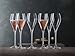 Spiegelau Champagner Gläser Sparkling Party 250ml, 6 Stück, Special Glasses, 4900329, Sektgläser aus Kristallglas, Champagnergläser spülmaschinenfest