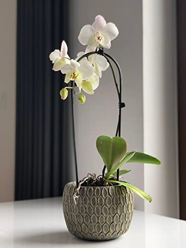 KOTARBAU Set of 2 Rustic Grey Gold Scaled Ceramic Flower Pots, Diameter 11 cm, Height 11 cm, Indoor/Outdoor Use - Image 4
