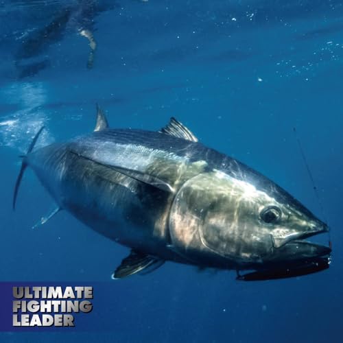 Varivas Ultimate Fighting Leader Invited Model miniatura 6