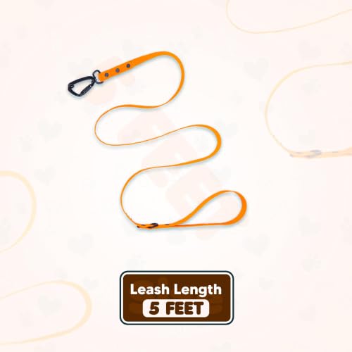 Image of Adil's Biothane Waterproof Dog Collar, Dog Leash & Collar Leash Combo | Heavy Duty TPU Coated Webbing | Adjustable Quick Release Buckle | Odour Resistant (Orange, M-18, Leash Only)