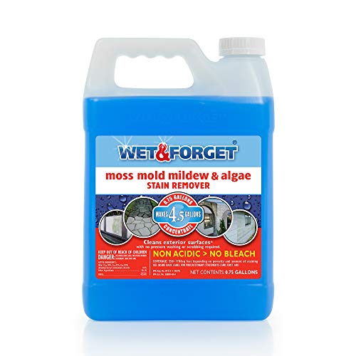 Wet and 800003 Wet And Moss Mold Mildew & Algae Stain Remover Garden