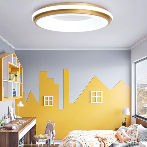 Plafonnier LED super lumineux 18W avec éclairage variable - 4