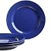 Le Tauci Dinner Plates set, 10 Inch Ceramic Plates，Set of 4 True Blue