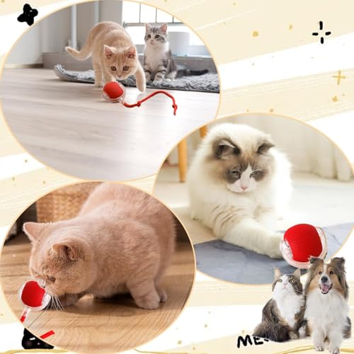 Image of Pet Cat Toys for Persian Cats - Interactive Pet Toys for Cats & Kittens | Soft, Fun & Safe Toys for Indoor Cats | Great for Play & Exercise