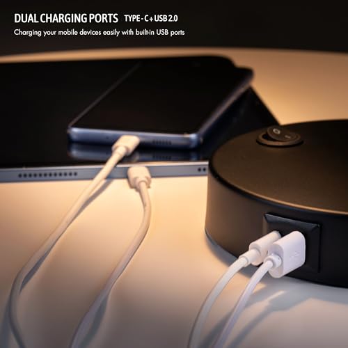 LED Desk Lamp with Dual USB Charging Ports, Metal Construction, Swivel Arms, Soft White Light - Black