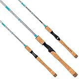 Favorite Ol' Salty Spinning Reel Combo| Fast Action Carbon Blend Fishing Rod for Saltwater Fishing...