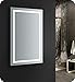 Fresca Santo 48" Wide x 30" Tall Bathroom Mirror w/LED Lighting and Defogger
