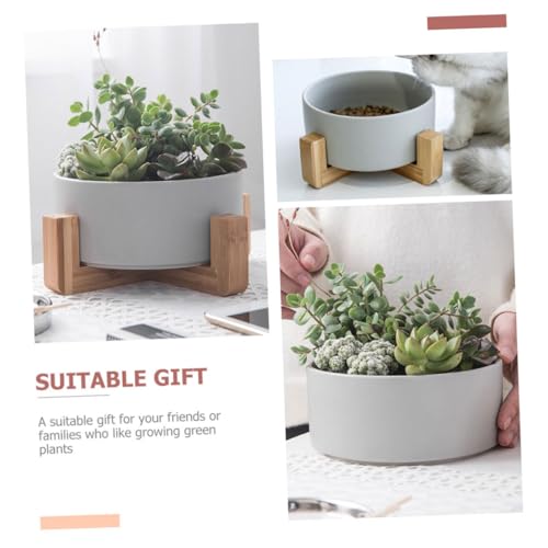Cache-pot céramique mat gris avec support bois pour succulente - 8