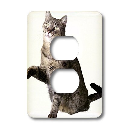 Plaque de cache-prise avec 2 prises gris 3dRose lsp_33162_6 pour finition murale