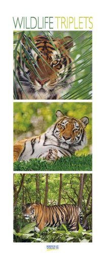 Wildlife Triplets 2015: PhotoArt Vertikal Kalender Wildlife Triplets 2015: PhotoArt Vertikal Kalender