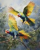 Kit de point de croix estampé, loriquets arc-en-ciel en vol, motifs de point de croix faciles à faire soi-même, fournitures d'aiguille, broderie à point de croix cadeau pour décoration d'intérieur,