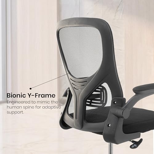 Image of Casa Copenhagen Black | Mid Back Imported Mesh Fabric Boss Office Chair | Y Design Ergonomic Back Support | 2D Aero Design Adjustable Armrests | Synchro Tilt Lock Mechanism | Adjustable Lumbar Support