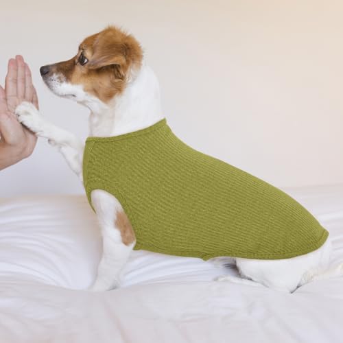 Hundeshirt für Mittelgroße Hunde | Sommer Hund T-Shirt Atmungsaktiv & Leicht | Weich & Bequem, Rundhals Design | Hunde Bekleidung | Schlanke Labrador Retriever, Golden Retriever (Chartreste XXL)