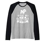 Photo Gallery lhasa apso cane cuccioli proprietario amante maglia con maniche raglan Photo Gallery lhasa apso cane cuccioli proprietario amante maglia con maniche raglan