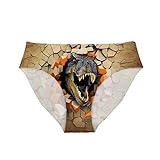Allcute Funny Cool Dinosaur Low Rise Underwear Comfy Hipster Panties Briefs for Gifts