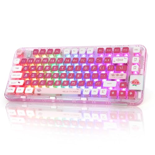 キーボード yun Amazon | YUNZII Y87 TKL ワイヤレスメカニカルキーボード