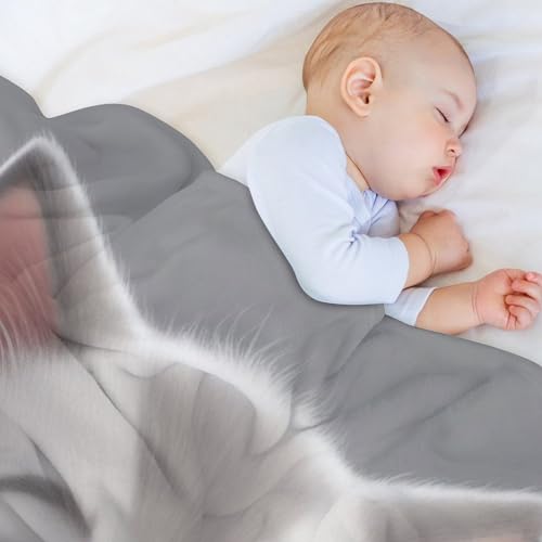 Couverture chaude en flannel plaid molleton chat mignon lit toute saison - 5