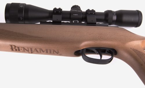 Benjamin Trail NP XL 725 .25-Caliber Nitro Piston Break Barrel Air Rifle BT725WNP