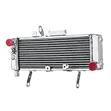 YoApoio Motorcycle Radiator Compatible with 2003-2008 Suzuki SV650 SV650S SV650A Models 17710-17G20
