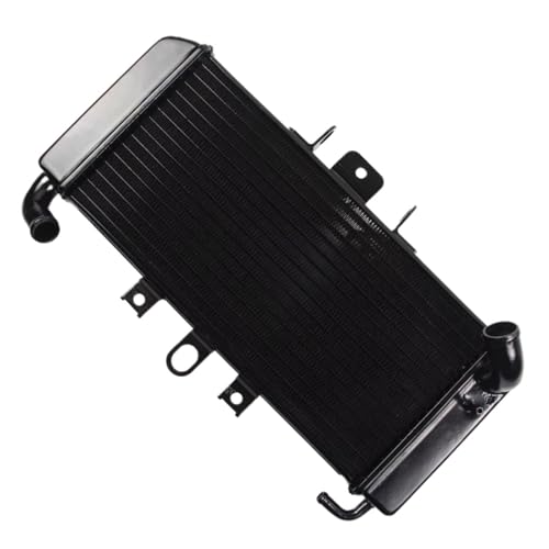 Radiateur de refroidissement moto FZS600 1998-2003 en aluminium avec vase