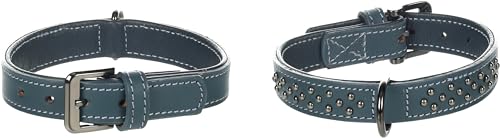 Collier Denver bleu 31-37cm accessoire de promenade chien 25mm