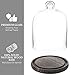 MyGift Clear Cloche Glass Dome,9 Inch Display Bell Jar with Top Handle and Rustic Brown Solid Wood Base