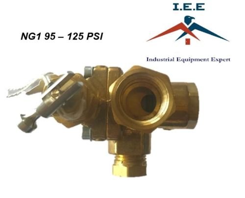 Gas Air Pilot Compressor Unloader Check Valve Combo 95-125 PSI 1/2" Female