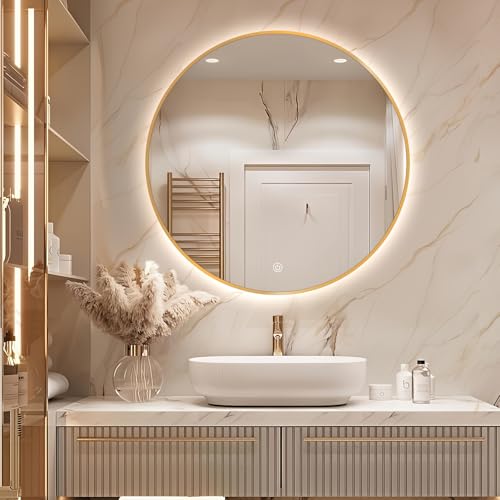 Niccy 24" LED Backlit Round Mirror for Bathroom, Gold Framed