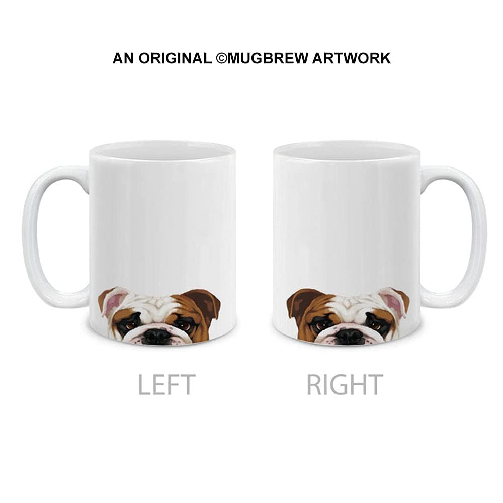 https://m.media-amazon.com/images/I/41mlDgwNAeL.jpg